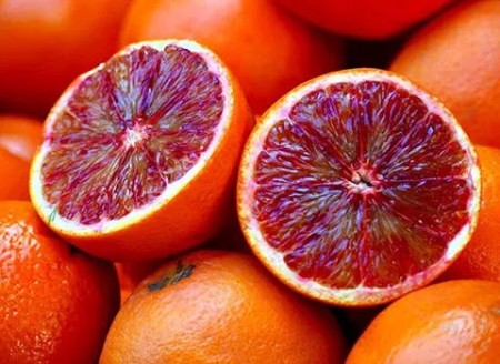 قیمت پرتقال خونی شیرین جنوب + خرید باور نکردنی